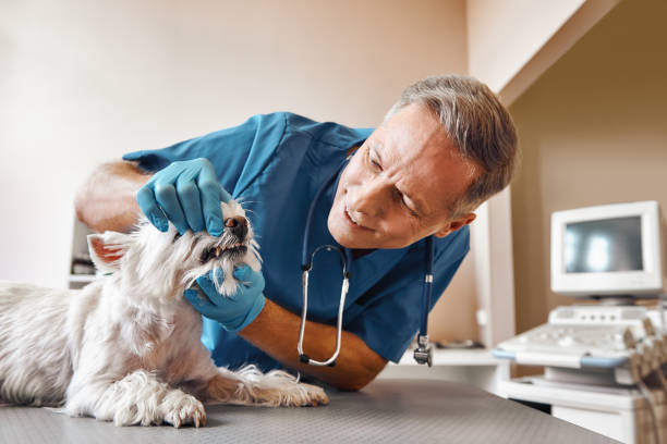 Best Same-Day Emergency Dental Services in Woodway, TX